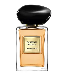 Giorgio Armani Gardenia Antigua EDT 100ml