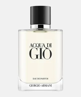 Giorgio Armani Acqua Di Gio 100ml