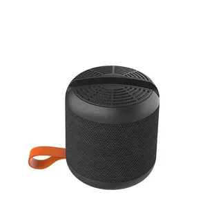 Recci MOZART Speaker RSK-W09