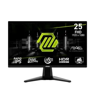 MSI MAG 255F E20
