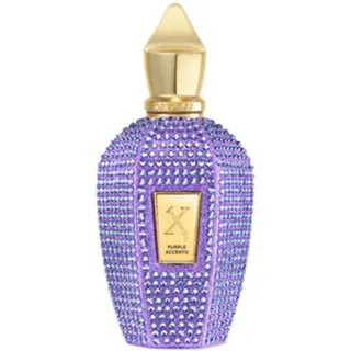 Xerjoff Accento EDP 100ml Purple
