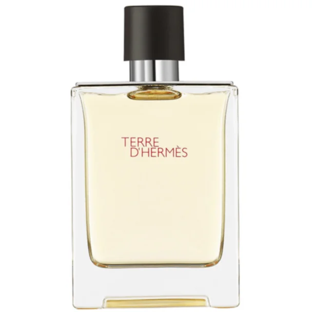 Hermes Terre D'Hermes Parfum 200ml