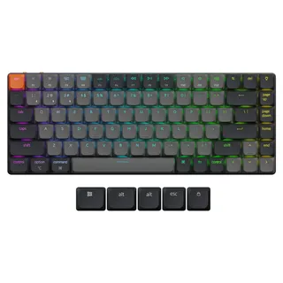 K1 Version 6 Brown
