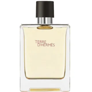 Hermes Terre D'Hermes EDT 100 ml