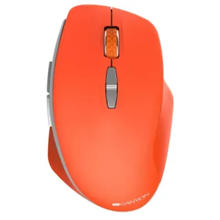 Mouse Canyon CNS-CMSW21R