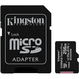 Kingston micSD Select Pls 100R C10 256G