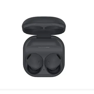 Samsung Galaxy Buds 2 Pro Graphite
