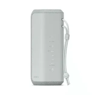SONY SRS-XE200 Gray