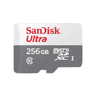 Sandisk Micro Ultra 100MB 256GB