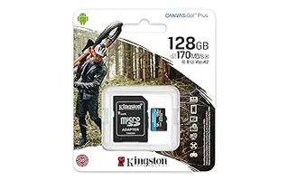 Kingston Canvas Go! Plus microSD 128GB