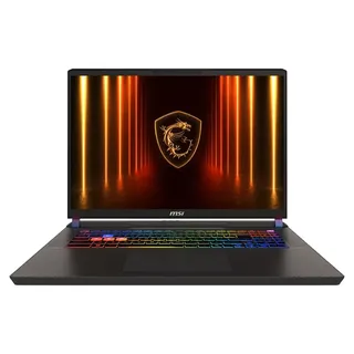 MSI Vector 17 HX AI