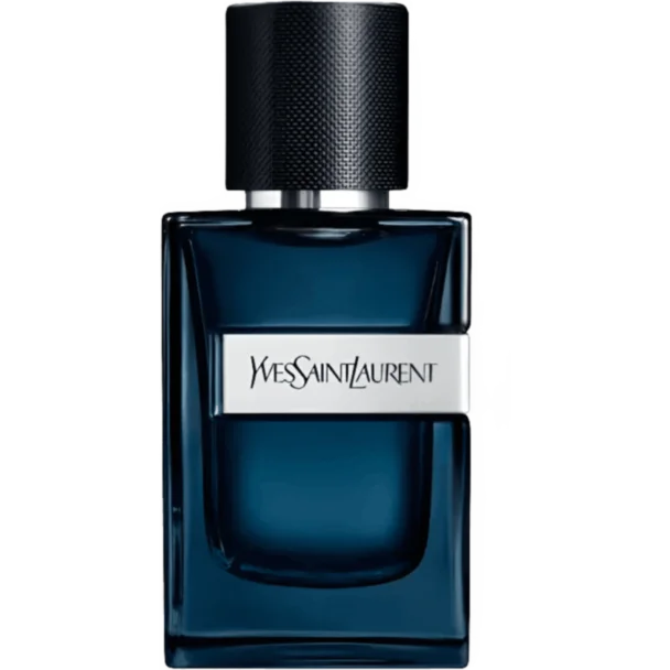 YSL Y Intense EDP 60 ml