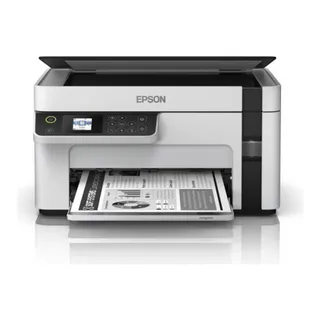 Epson M2110 CIS