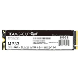 Teamgroup MP33 256GB