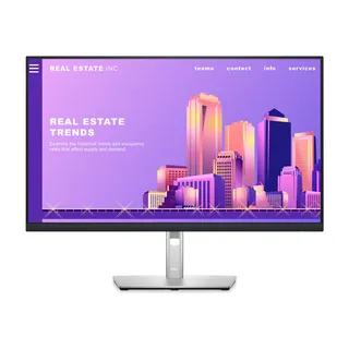 Dell P-Series Monitor 210-AZYZ