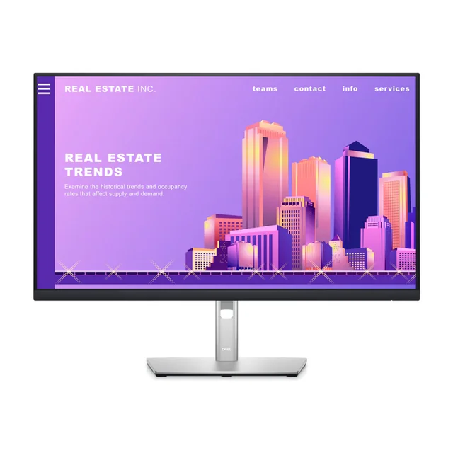 Dell P-Series Monitor 210-AZYZ