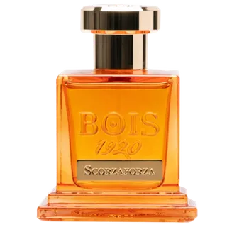 Bois 1920 Scorzaforza EDP 100ml