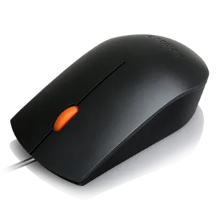 Lenovo 300