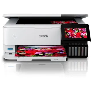 Epson L8160 CIS