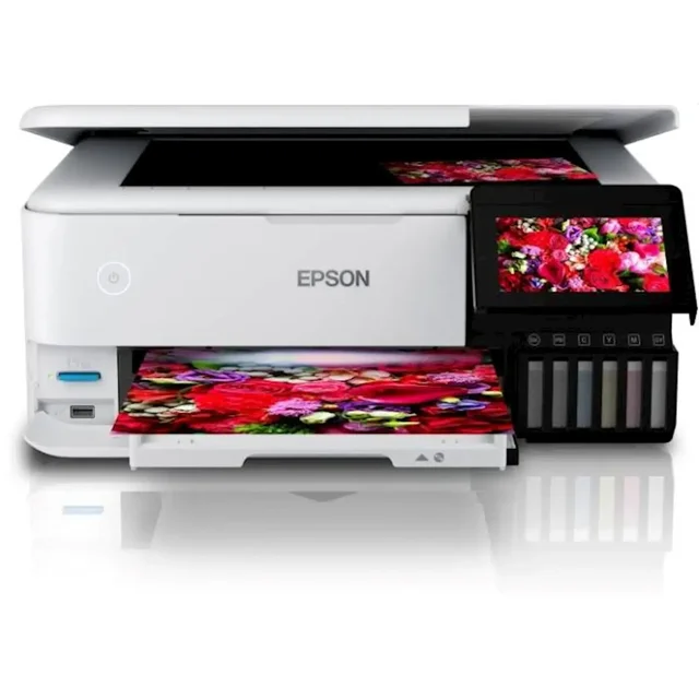 Epson L8160 CIS