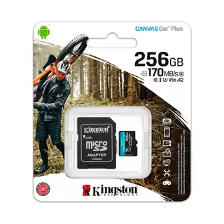 Kingston Canvas Go Plus 256GB (SDCG3/256GB)