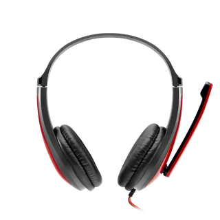 Canyon CHSC1 R-Bk